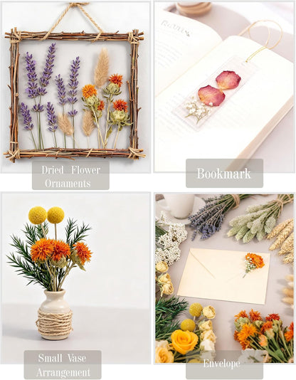 DIY Natural Dried Flower Set, Bulk Dried Flowers for Vase, Dried Flowers with Stems, Dried Roses, Mini Dried Flower Bouquets.(Brown)