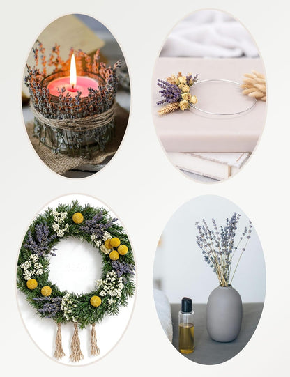 DIY Natural Dried Flower Set, Bulk Dried Flowers for Vase, Dried Flowers with Stems, Dried Roses, Mini Dried Flower Bouquets.(Brown)