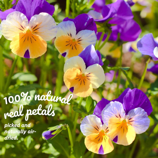 50 Pcs 8 Kinds Natural Dried Pressed Edible Flowers for Cake Topper | Mix Viola Tricolor for Cupcake Decorating, Flores Comestibles Para Pastel, Cocktails, Resin Jewelry Making, DIY Art Crafts