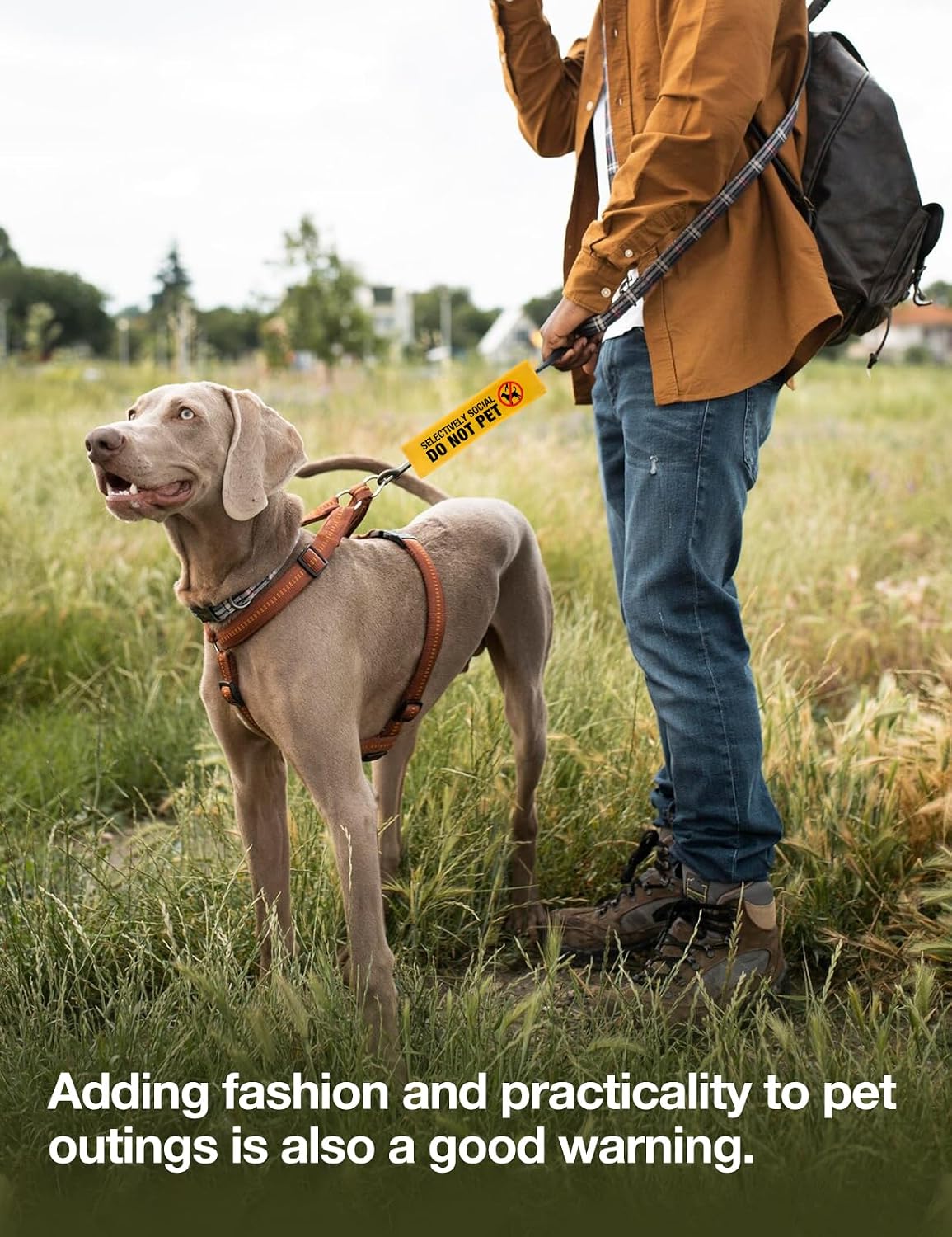 Selectively Social Dog Leash Sleeve with Hanging ID Patch Tag, Funny Do Not Pet Leash Sleeve, Service Dog Patch Accessory for Dog Owners