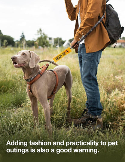 Selectively Social Dog Leash Sleeve with Hanging ID Patch Tag, Funny Do Not Pet Leash Sleeve, Service Dog Patch Accessory for Dog Owners