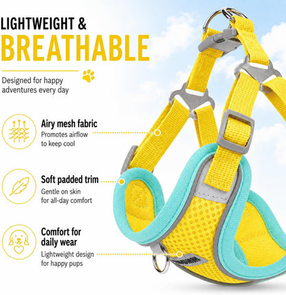Adjustable Dog Harness and Leash Set, Reflective Mesh Puppy Vest Harness for Small Dogs and Cats-Yellow, S