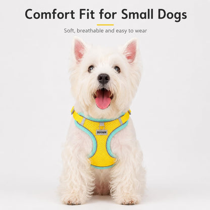 Adjustable Dog Harness and Leash Set, Reflective Mesh Puppy Vest Harness for Small Dogs and Cats-Yellow, S