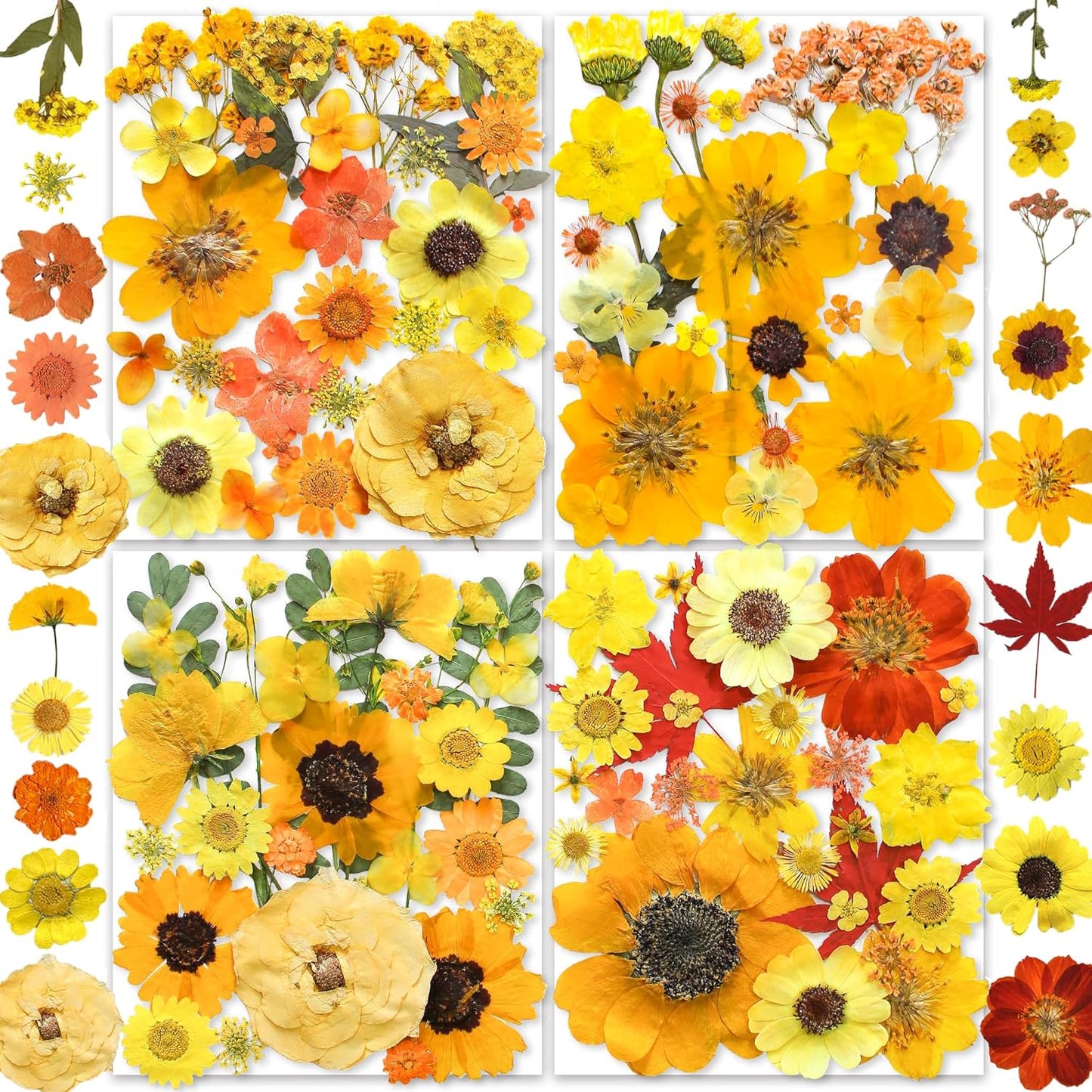 150PCS Yellow Dried Pressed Flowers for Resin - Real Nature Flowers Herb Set for DIY Jewelry Candle Soap Vase Making Nail Card Scrapbook Art Craft Floral Decors