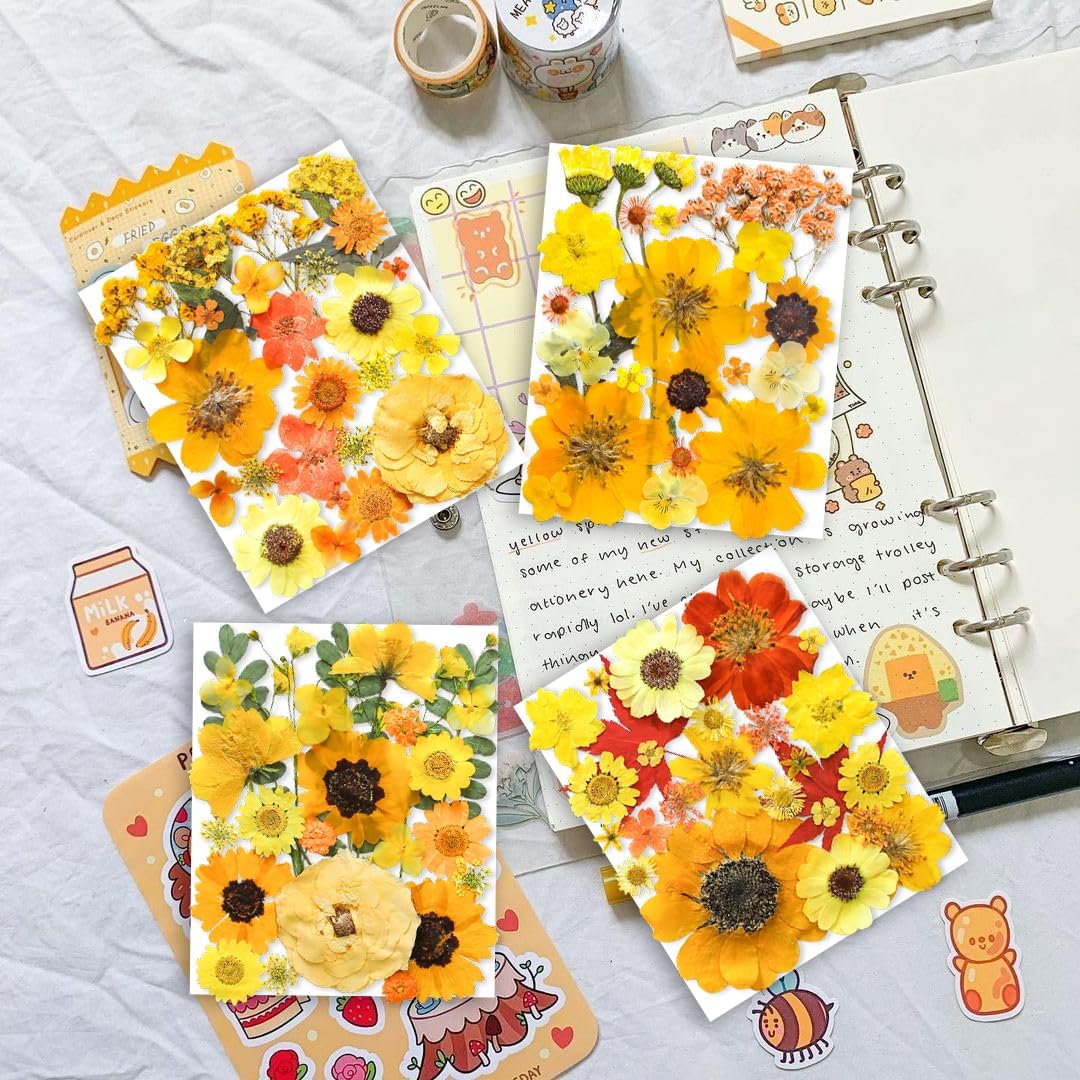 150PCS Yellow Dried Pressed Flowers for Resin - Real Nature Flowers Herb Set for DIY Jewelry Candle Soap Vase Making Nail Card Scrapbook Art Craft Floral Decors