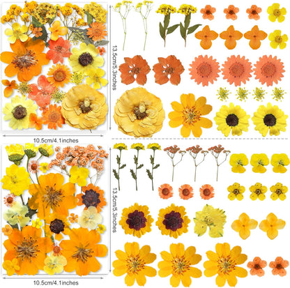 150PCS Yellow Dried Pressed Flowers for Resin - Real Nature Flowers Herb Set for DIY Jewelry Candle Soap Vase Making Nail Card Scrapbook Art Craft Floral Decors