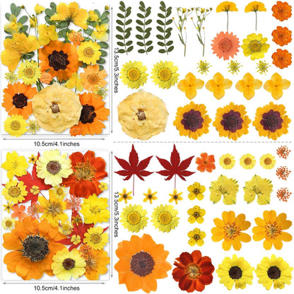150PCS Yellow Dried Pressed Flowers for Resin - Real Nature Flowers Herb Set for DIY Jewelry Candle Soap Vase Making Nail Card Scrapbook Art Craft Floral Decors