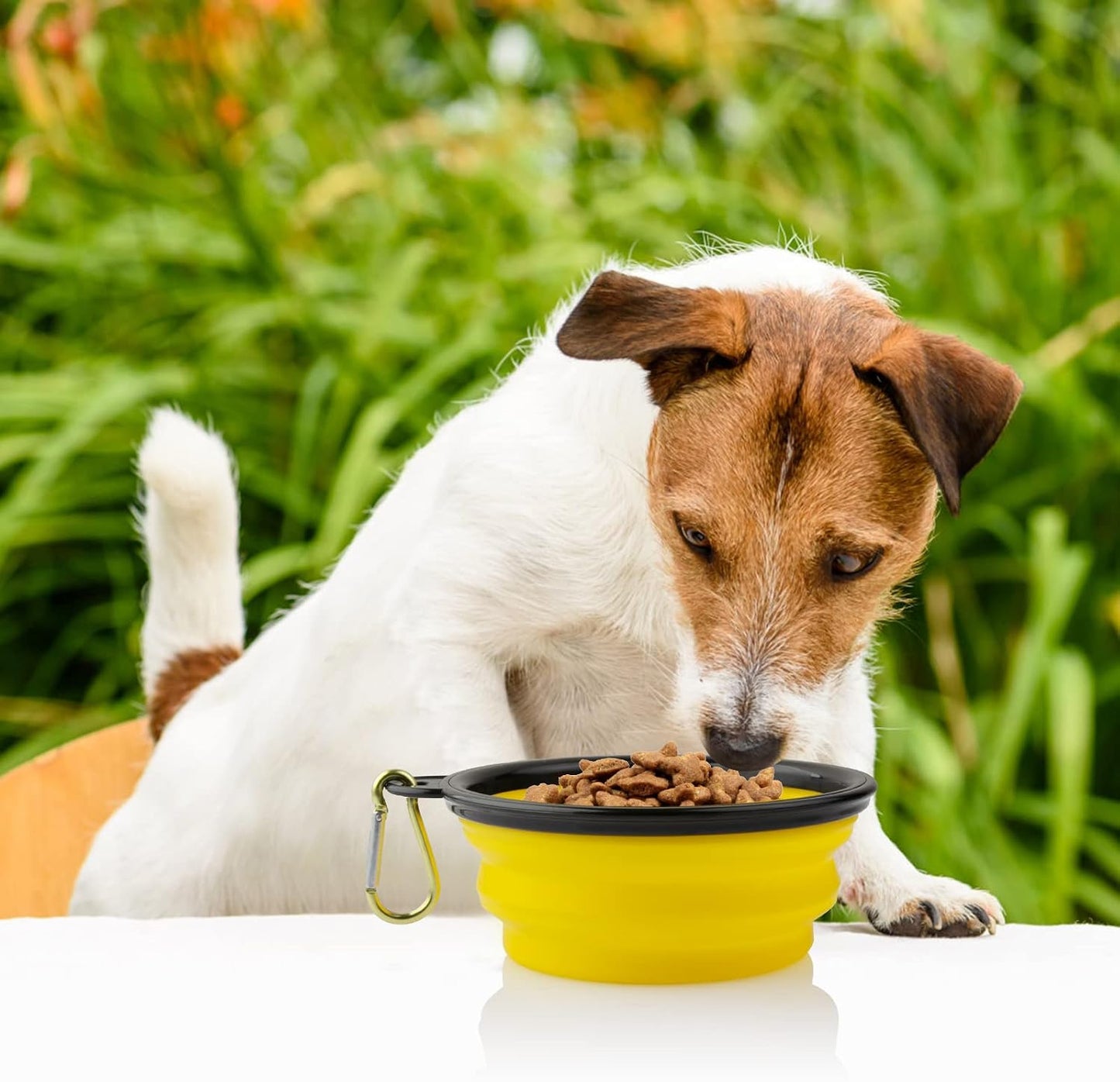 Collapsible Silicone Dog Bowls, 3-Pack Travel Portable Pet Bowls, Small | Yellow & black & light green. 5.1 in wide, 2.1 in tall, folds to 0.5 in. Holds 12 oz water or 1.5 cups food. Includes ID tag.
