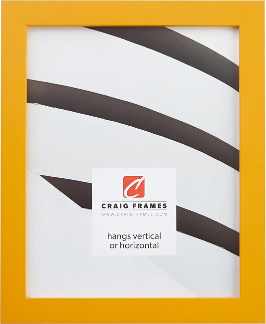 Confetti, Modern Light Yellow Picture Frame, 16 x 20 Inch - Colors B