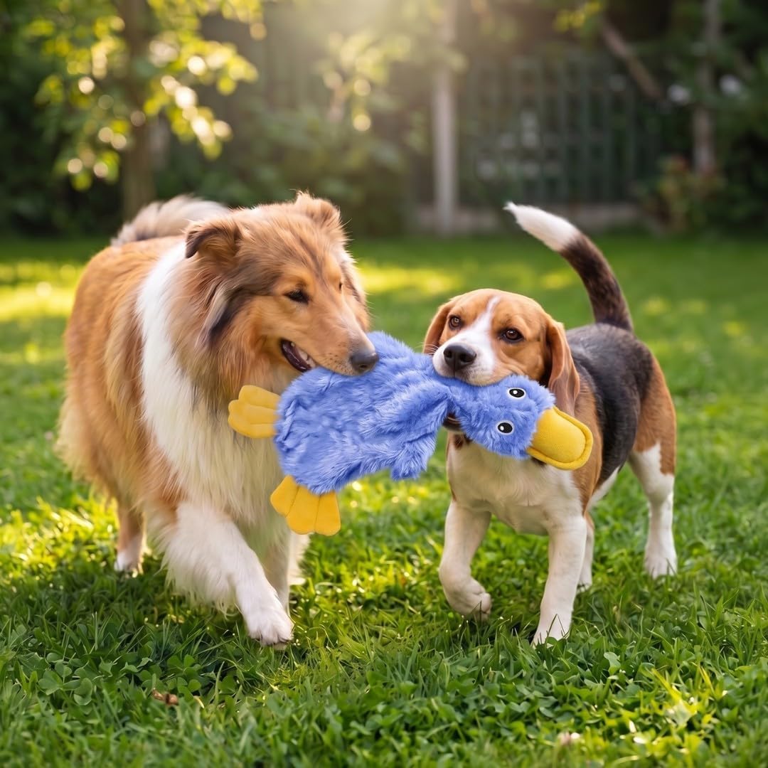 Best Pet Supplies Interactive Squeaky Dog Toy - Crinkle Duck, Blue | Stuffing Free Body, Soft, Squeaks & Crinkles, No Mess, Perfect for Moderate Chewers, Toss and Fetch Play