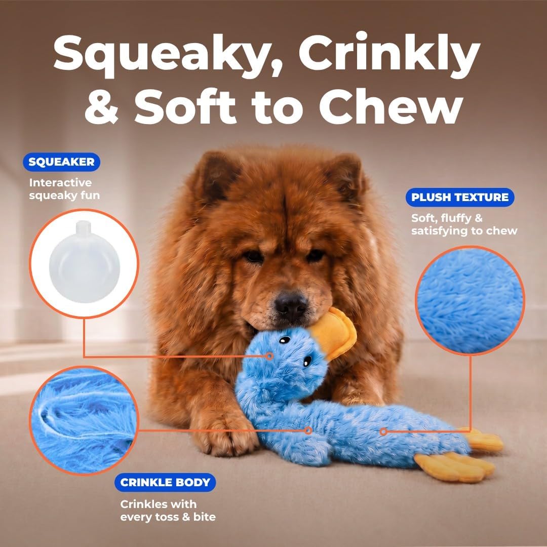 Best Pet Supplies Interactive Squeaky Dog Toy - Crinkle Duck, Blue | Stuffing Free Body, Soft, Squeaks & Crinkles, No Mess, Perfect for Moderate Chewers, Toss and Fetch Play