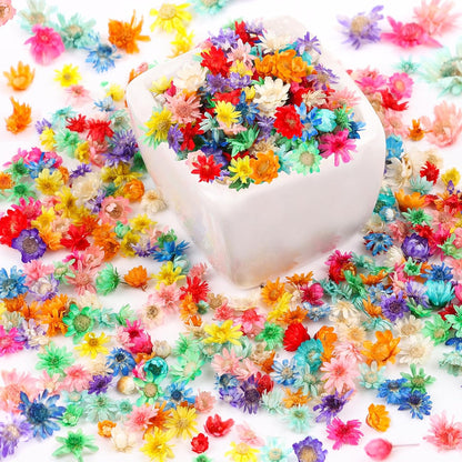 350pcs Mini Dried Flowers for Crafts Resin,Mixed Sizes Small Dried Flowers with Tweezers for DIY Craft Resin Art Jewelry Soap Candle Making