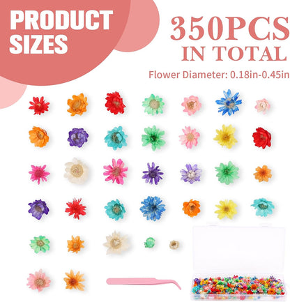 350pcs Mini Dried Flowers for Crafts Resin,Mixed Sizes Small Dried Flowers with Tweezers for DIY Craft Resin Art Jewelry Soap Candle Making