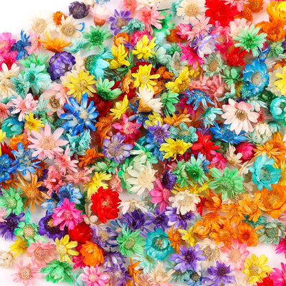 350pcs Mini Dried Flowers for Crafts Resin,Mixed Sizes Small Dried Flowers with Tweezers for DIY Craft Resin Art Jewelry Soap Candle Making