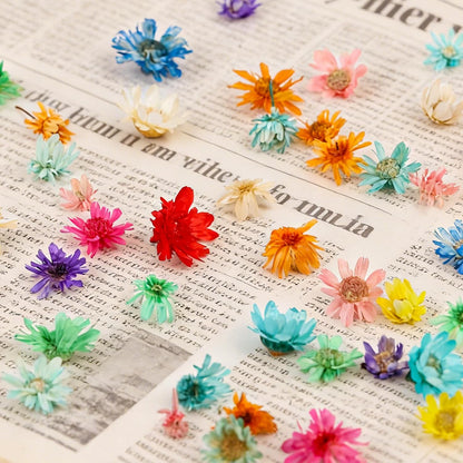 350pcs Mini Dried Flowers for Crafts Resin,Mixed Sizes Small Dried Flowers with Tweezers for DIY Craft Resin Art Jewelry Soap Candle Making