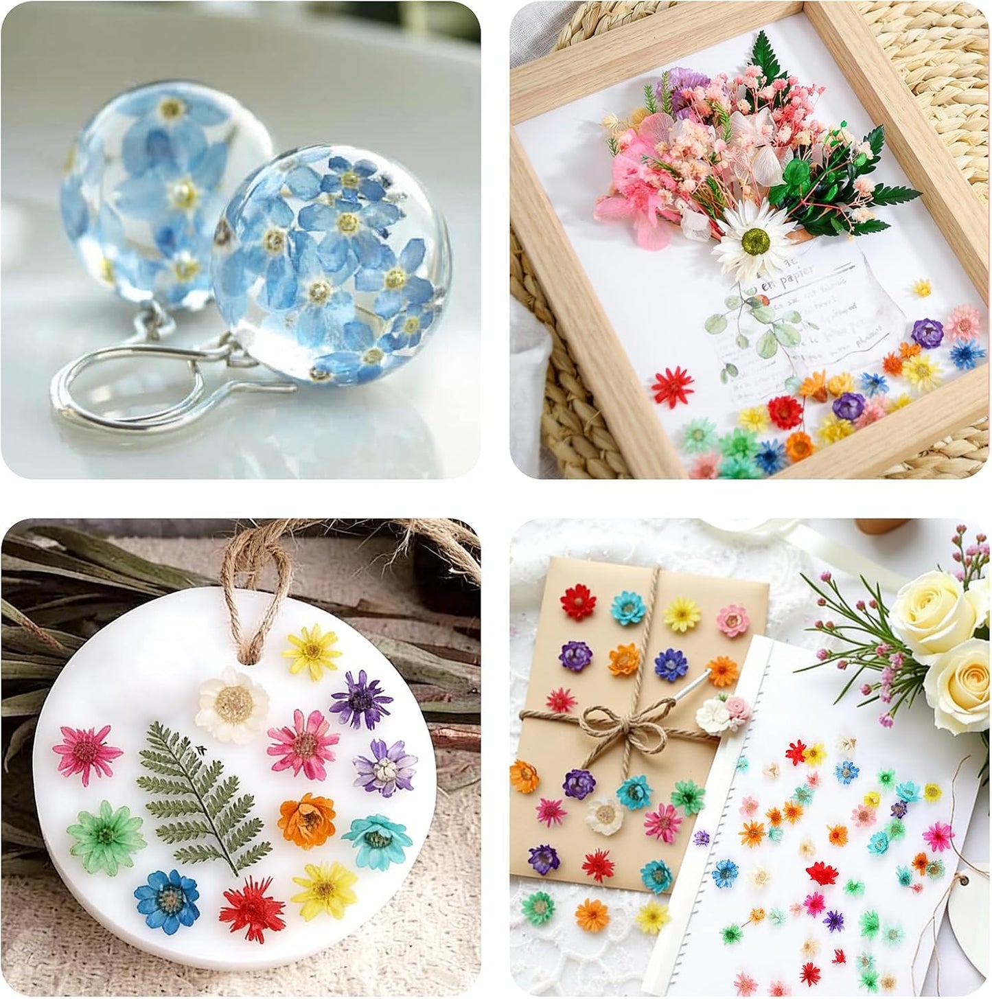 350pcs Mini Dried Flowers for Crafts Resin,Mixed Sizes Small Dried Flowers with Tweezers for DIY Craft Resin Art Jewelry Soap Candle Making