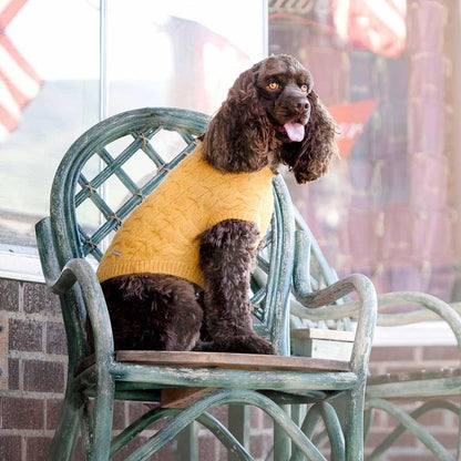 Classic Fuzzy Textured Knit Pullover Turtle-Neck Dog Sweater in Mustard Yellow, Back Length 20", Pack of 1 Clothes for Dogs