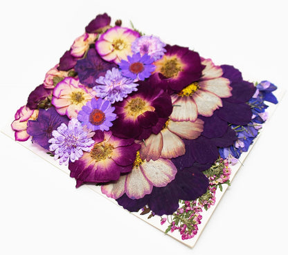 OECCO Large Purple Dried Pressed Flower for Resin, Big Real Nature Pressing Floral Leaves for DIY Craft, Mold, Jewelry Making, Candle Scrapbooking Supplies