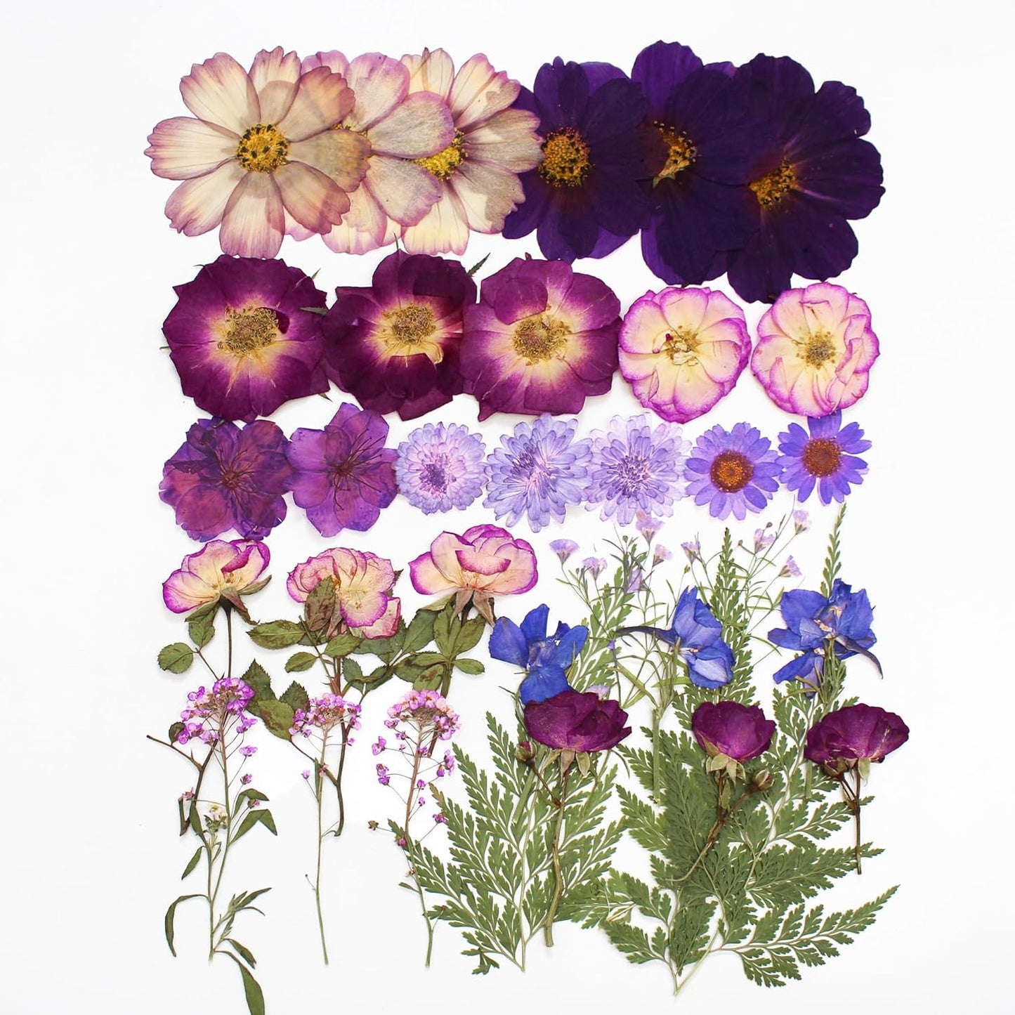 OECCO Large Purple Dried Pressed Flower for Resin, Big Real Nature Pressing Floral Leaves for DIY Craft, Mold, Jewelry Making, Candle Scrapbooking Supplies