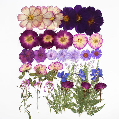OECCO Large Purple Dried Pressed Flower for Resin, Big Real Nature Pressing Floral Leaves for DIY Craft, Mold, Jewelry Making, Candle Scrapbooking Supplies
