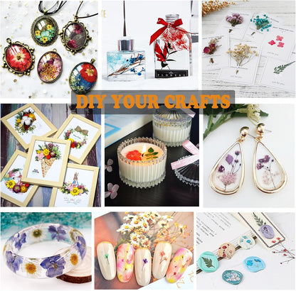 99Pcs Pressed Dried Flowers and Butterfly for Resin Molds, Assorted Real Natural Flowers Leaves Stickers for DIY Art Nail Crafts, Jewelry, Candle, Soap Crafts Making