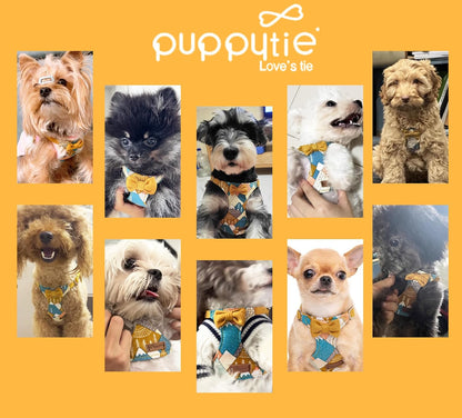 Dog Harness and Leash Set, Suede Bow Yellow, M (16.5-31 lbs) | Harness Small Size Dog, Soft and Lightweight, Multifunction Dog Leash, Dog Harness Medium Sized Dog