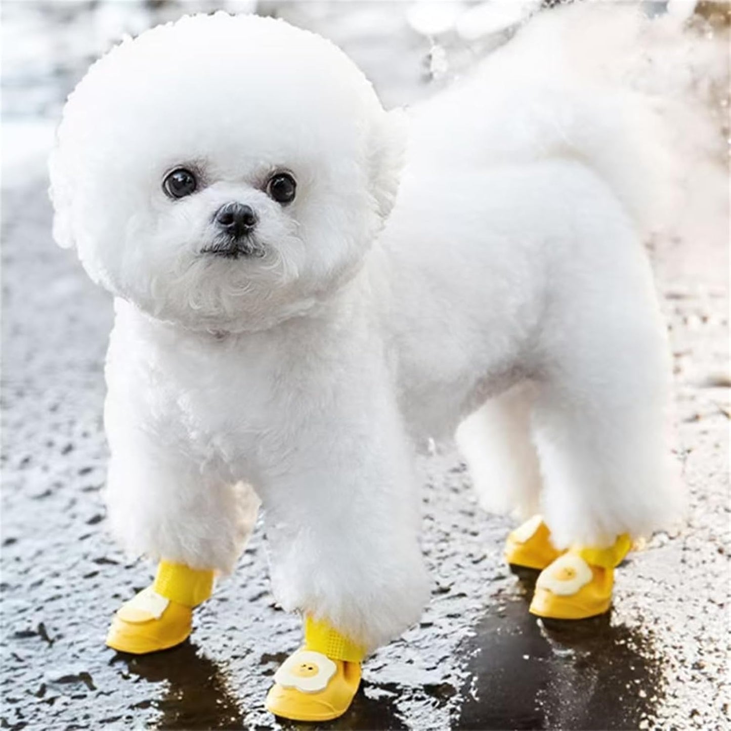 4Pcs Waterproof Dog Boots Dog Shoes for Snow and Rain Teddy Pomeranian Bichon Small Dogs Boot Size Runs Small Please Check THE Size Carefully (Yellow, Medium(3-8Ib))