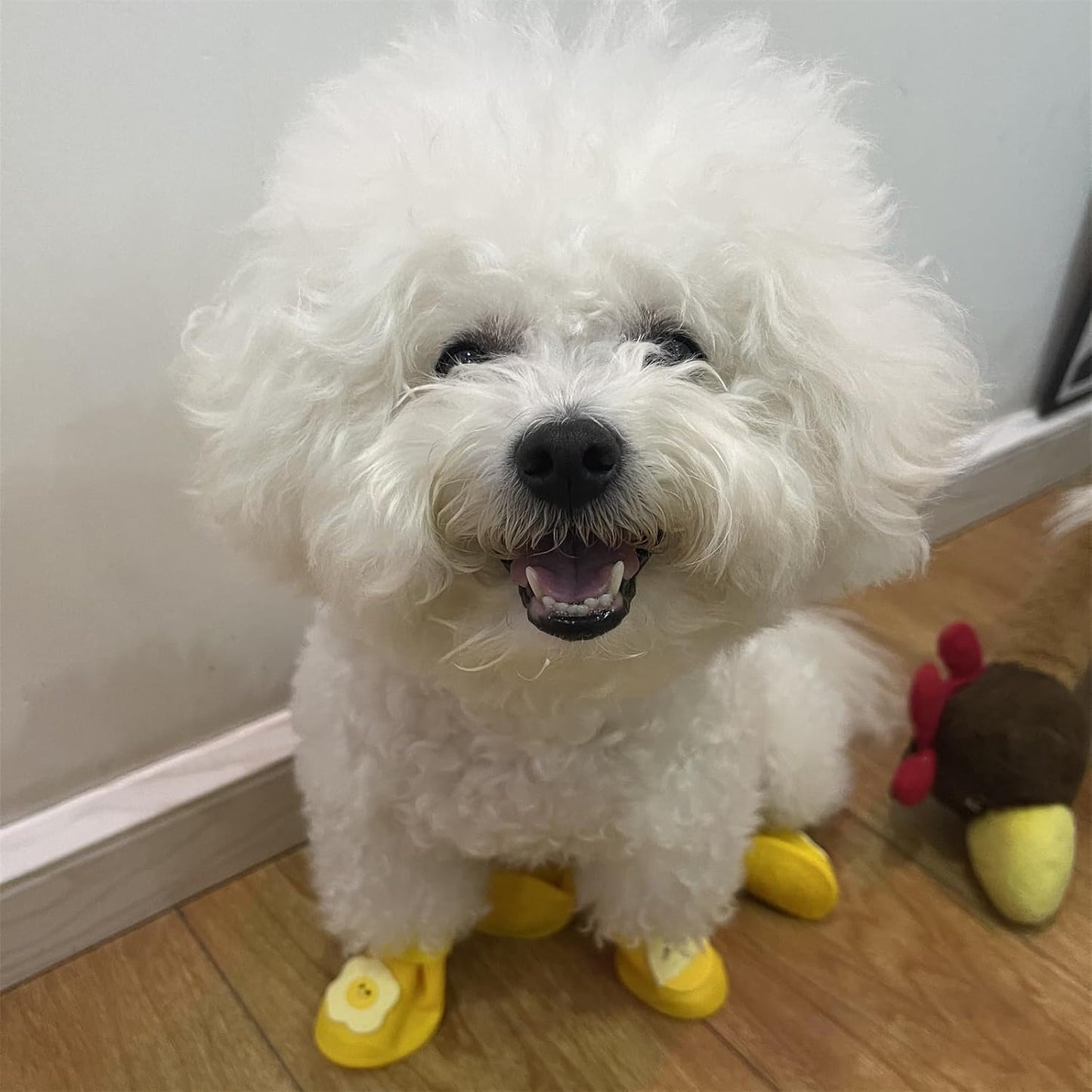 4Pcs Waterproof Dog Boots Dog Shoes for Snow and Rain Teddy Pomeranian Bichon Small Dogs Boot Size Runs Small Please Check THE Size Carefully (Yellow, Medium(3-8Ib))