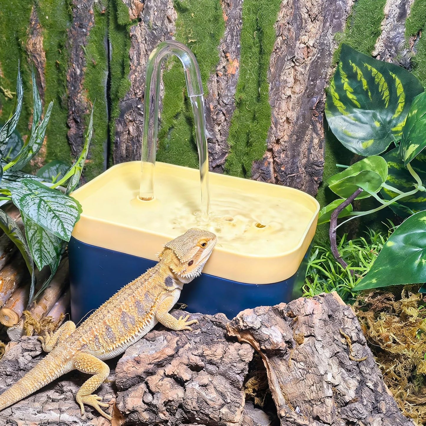 Reptile Waterfall Reptile Water Fountain Lizard Drinking Fountain Chameleon Water Dripper, Bearded Dragon Cage Accessories for Lizard Gecko Snake (Yellow Blue)