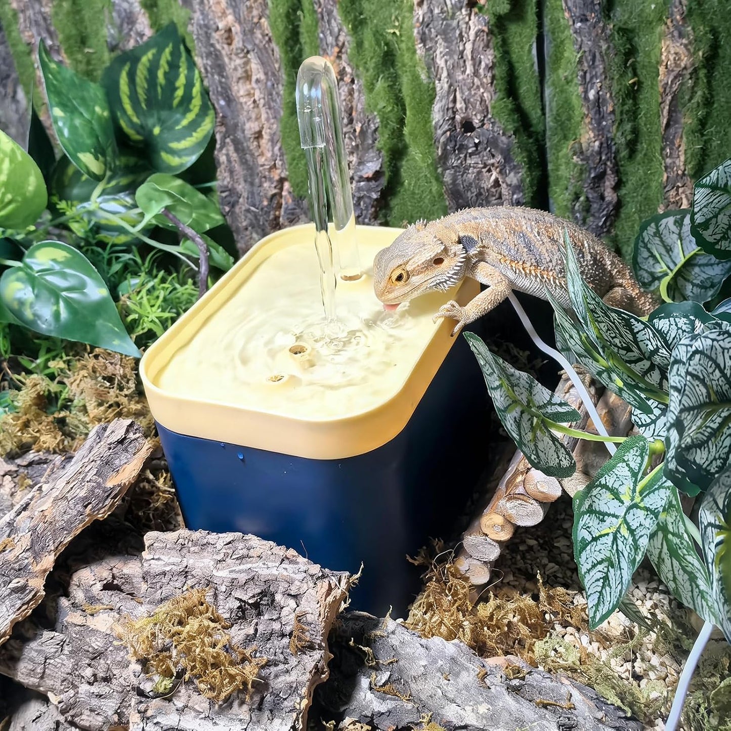 Reptile Waterfall Reptile Water Fountain Lizard Drinking Fountain Chameleon Water Dripper, Bearded Dragon Cage Accessories for Lizard Gecko Snake (Yellow Blue)