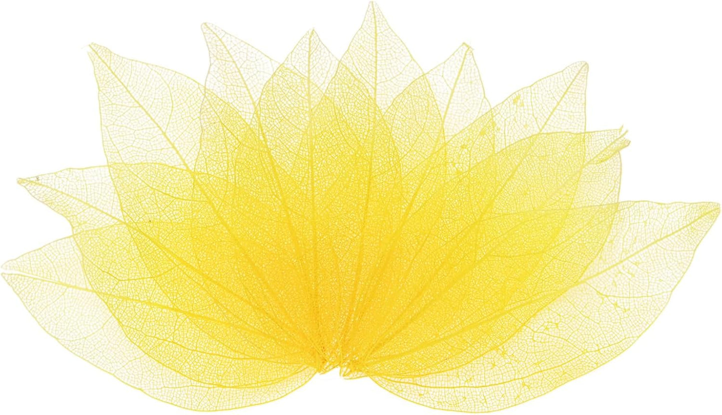 100-Pack Skeleton Leaves, Natural Rubber Tree Dried Pressed Leaves Vein for Resin/DIY Crafts Card/Scrapbook/Wedding, Small Leaves Decorative [4-6cm, Dark and Light Yellow]