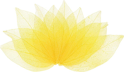100-Pack Skeleton Leaves, Natural Rubber Tree Dried Pressed Leaves Vein for Resin/DIY Crafts Card/Scrapbook/Wedding, Small Leaves Decorative [4-6cm, Dark and Light Yellow]