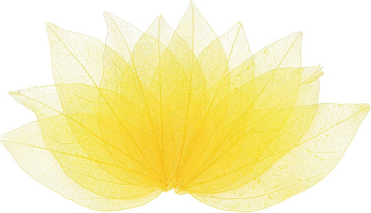 100-Pack Skeleton Leaves, Natural Rubber Tree Dried Pressed Leaves Vein for Resin/DIY Crafts Card/Scrapbook/Wedding, Small Leaves Decorative [4-6cm, Dark and Light Yellow]