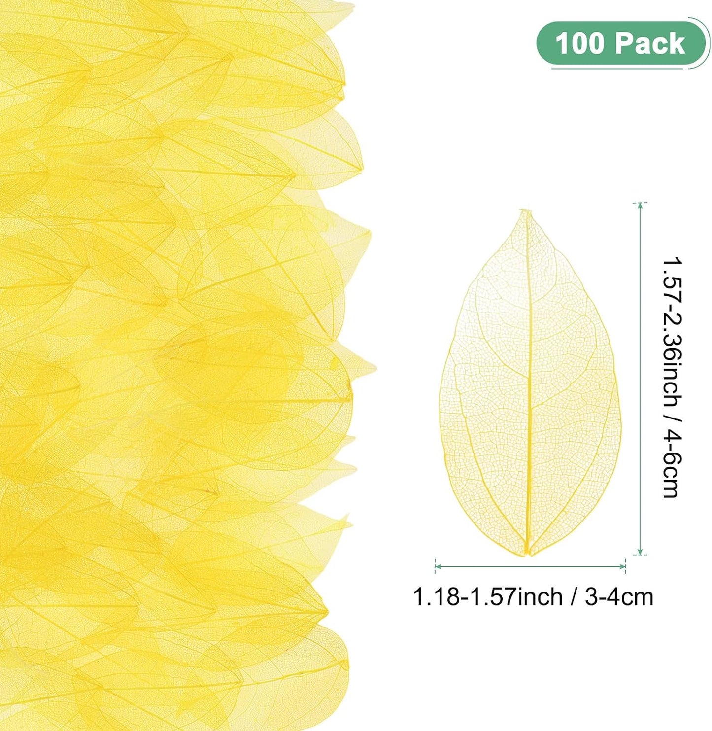 100-Pack Skeleton Leaves, Natural Rubber Tree Dried Pressed Leaves Vein for Resin/DIY Crafts Card/Scrapbook/Wedding, Small Leaves Decorative [4-6cm, Dark and Light Yellow]