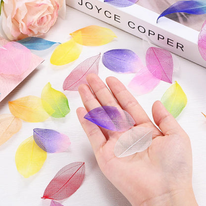 100-Pack Skeleton Leaves, Natural Rubber Tree Dried Pressed Leaves Vein for Resin/DIY Crafts Card/Scrapbook/Wedding, Small Leaves Decorative [4-6cm, Dark and Light Yellow]