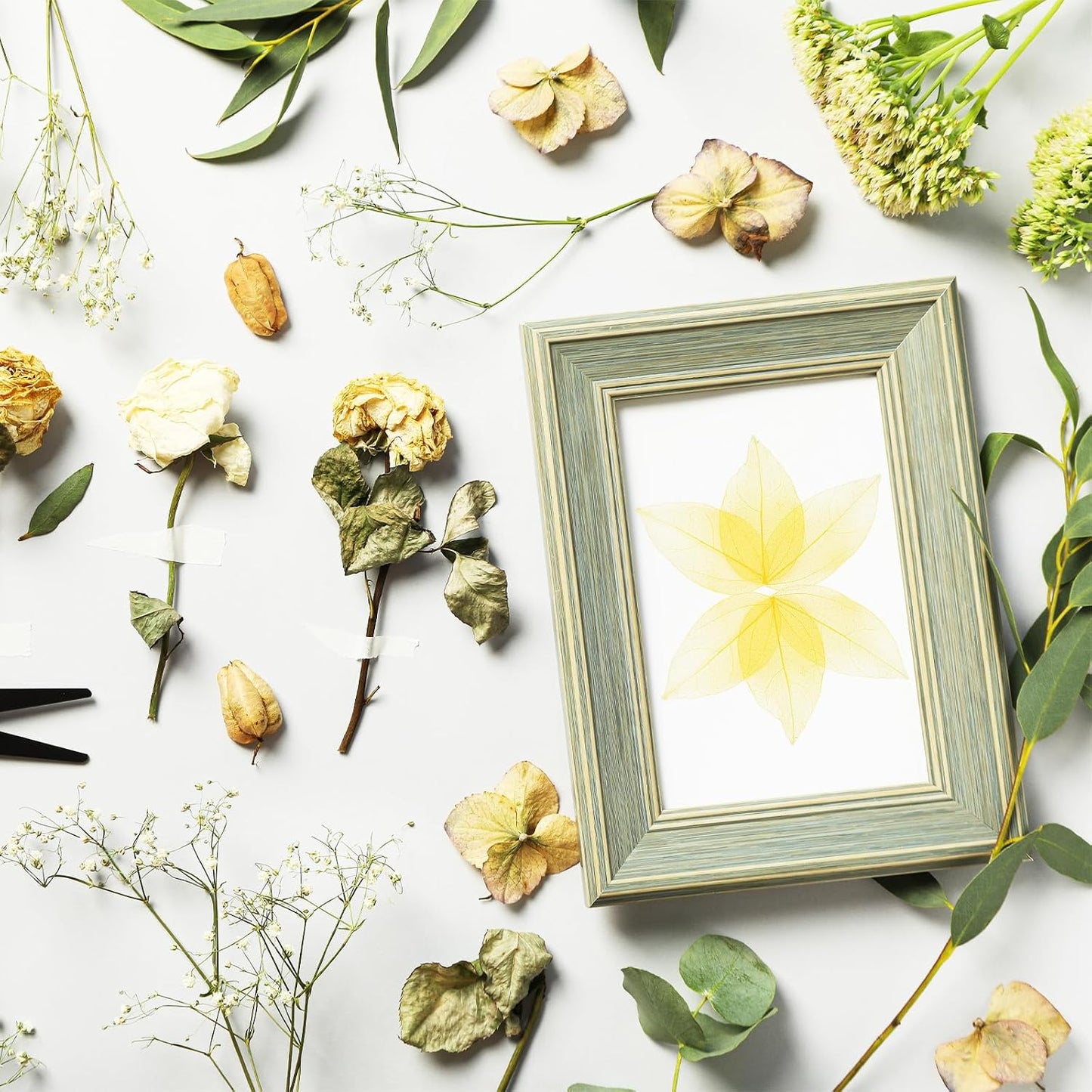 100-Pack Skeleton Leaves, Natural Rubber Tree Dried Pressed Leaves Vein for Resin/DIY Crafts Card/Scrapbook/Wedding, Small Leaves Decorative [4-6cm, Dark and Light Yellow]