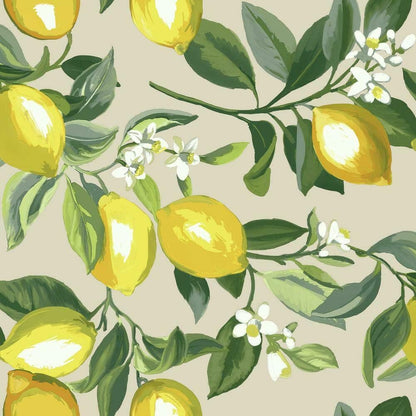 Lemon Zest Yellow and Teal Peel and Stick Wallpaper, Vinyl, 20.5-in x 16.5-ft, Made in USA