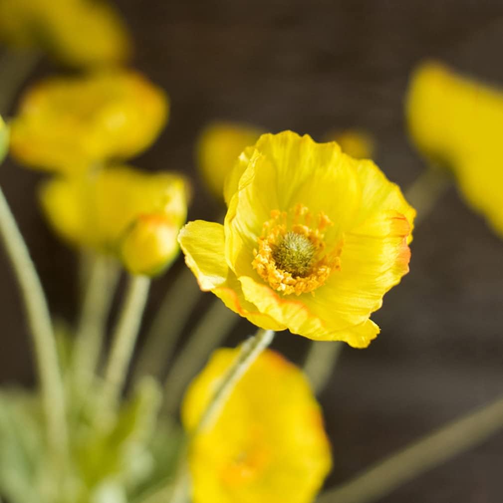 Artificial Flowers 6 Stems Poppy Silk Bouquet,for Wedding, Home, Party Decoration,Table Centerpiece Arrangement(Yellow)