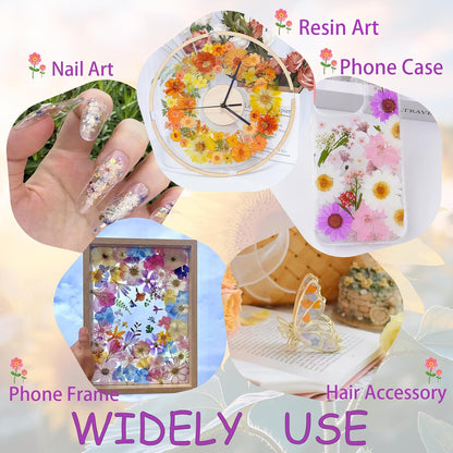 40Pcs Dried Pressed Flowers for Crafts, Dry Flowers Kit for Resin Molds,Epoxy Resin Accessories,Bookmark,Nails, Jewelry Molds,Candle Making Supplies,Soap,Frame,Cakes(Orange Yellow)
