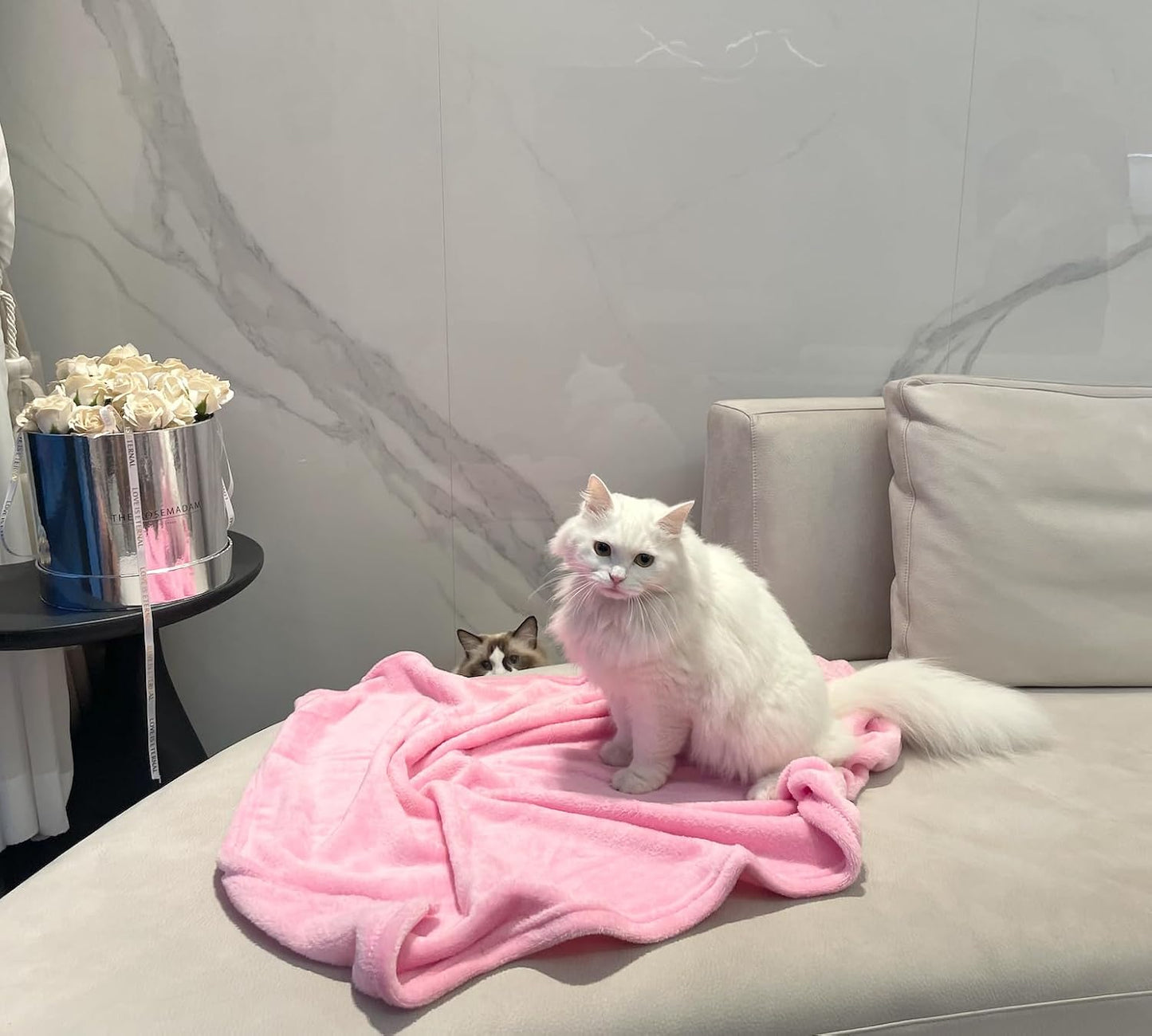 Soft Puppy Flannel Fleece Blanket for Pet Dog Cat, Plush Microfiber, Cozy and Lightweight, Light Yellow, Pet, 19 x 27 inch (50 x 70 cm)