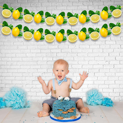 Lemon Garland Decoration For Summer Party, Lemon-Themed Birthday, Baby Shower, Bridal Shower – Artificial Lemon And Green Leaf Hanging Banner – Fresh Fruit Citrus Garland For Kitchen Decor
