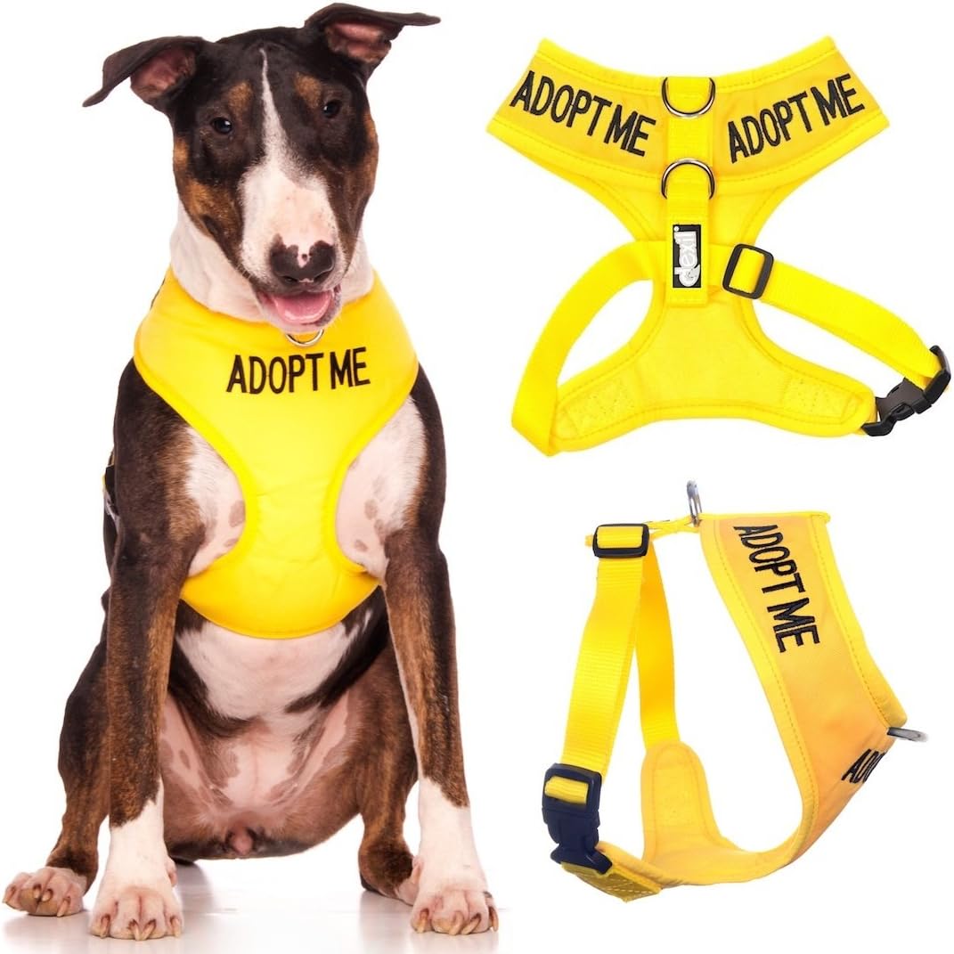 Adopt Me Yellow Color Coded Non-Pull Front and Back D Ring Padded and Waterproof Vest Dog Harness, Large Harness 22-32 Inch Chest/Girth