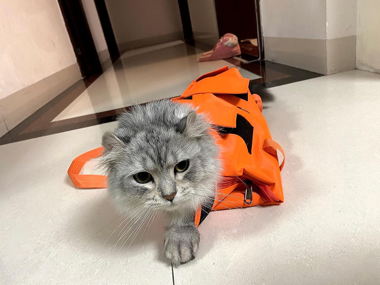 Cat Grooming Bag,Foldable Travel Carrier for Cats,Anti-Bite Anti-Scratch Cat Grooming Restraint Bag,Pet Carrier for Administering Eye Drops,Ear Cleaner,Clipping Nails Yellow L