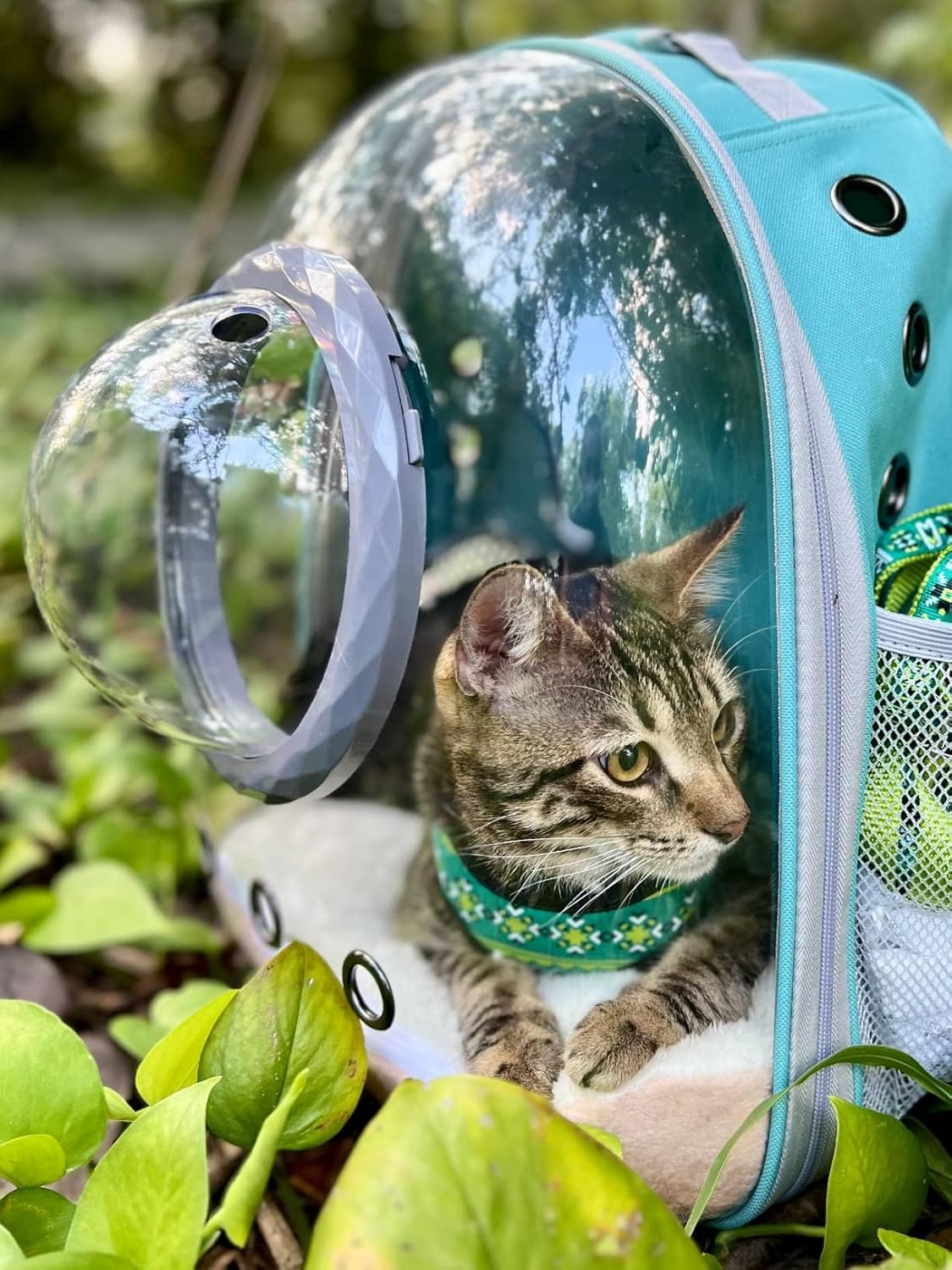 Cat Backpack Carrier, Bubble Backpack for Cat Kitten Small Puppy and Bunny, Space Capsule Bubble Cat Backpack Carrier, Airline Approved Waterproof Yellow Pet Backpack for Small Dog