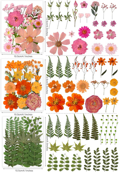 Bulk 410Pcs 11 Packs Mixed Real Natural Dried Pressed Flowers, Leaves & Pressing Floral Butterfly Stickers for Resin Molds, DIY Crafts, Jewelry Making, Candle & Soap Making with Tweezers