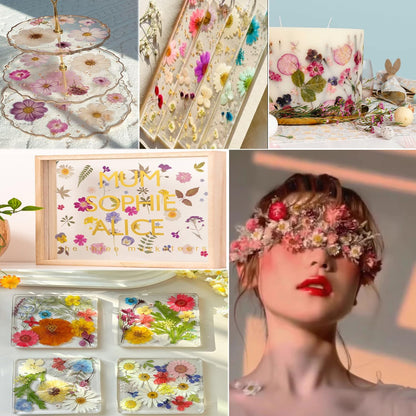 Bulk 410Pcs 11 Packs Mixed Real Natural Dried Pressed Flowers, Leaves & Pressing Floral Butterfly Stickers for Resin Molds, DIY Crafts, Jewelry Making, Candle & Soap Making with Tweezers