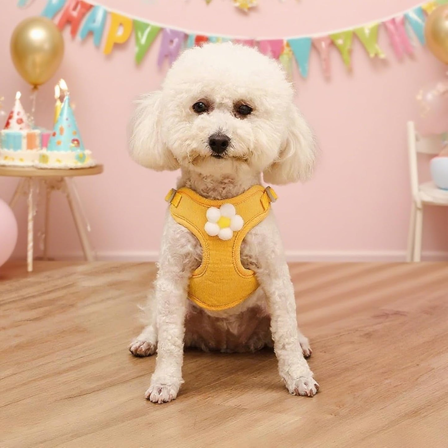 Lovely Daisy Small Dog Harness Vest for Pet Dog Walking Selfish Daily-wear | Lovely Cute Harness Vest Selfish Socializing Treat Camp