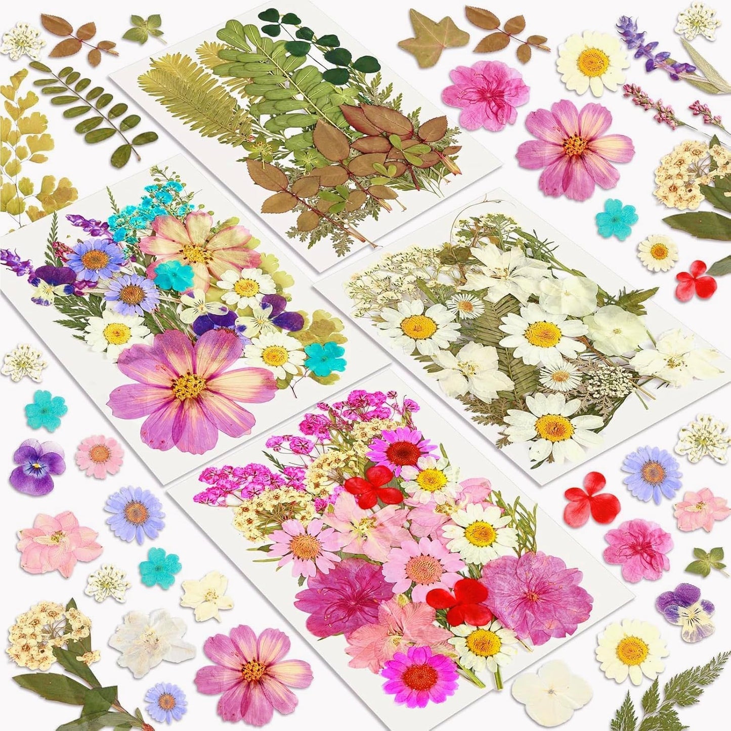 Dried Flowers, 100Pcs Pressed Flowers for Craft | Real Natural Dried Flowers Dry Leaves Kit for DIY Making Crafts Resin Soap Candle Scrapbook Supplies Card Making Jewelry