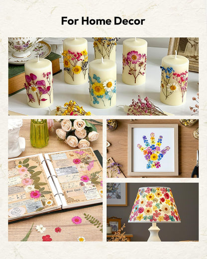 Dried Flowers, 100Pcs Pressed Flowers for Craft | Real Natural Dried Flowers Dry Leaves Kit for DIY Making Crafts Resin Soap Candle Scrapbook Supplies Card Making Jewelry