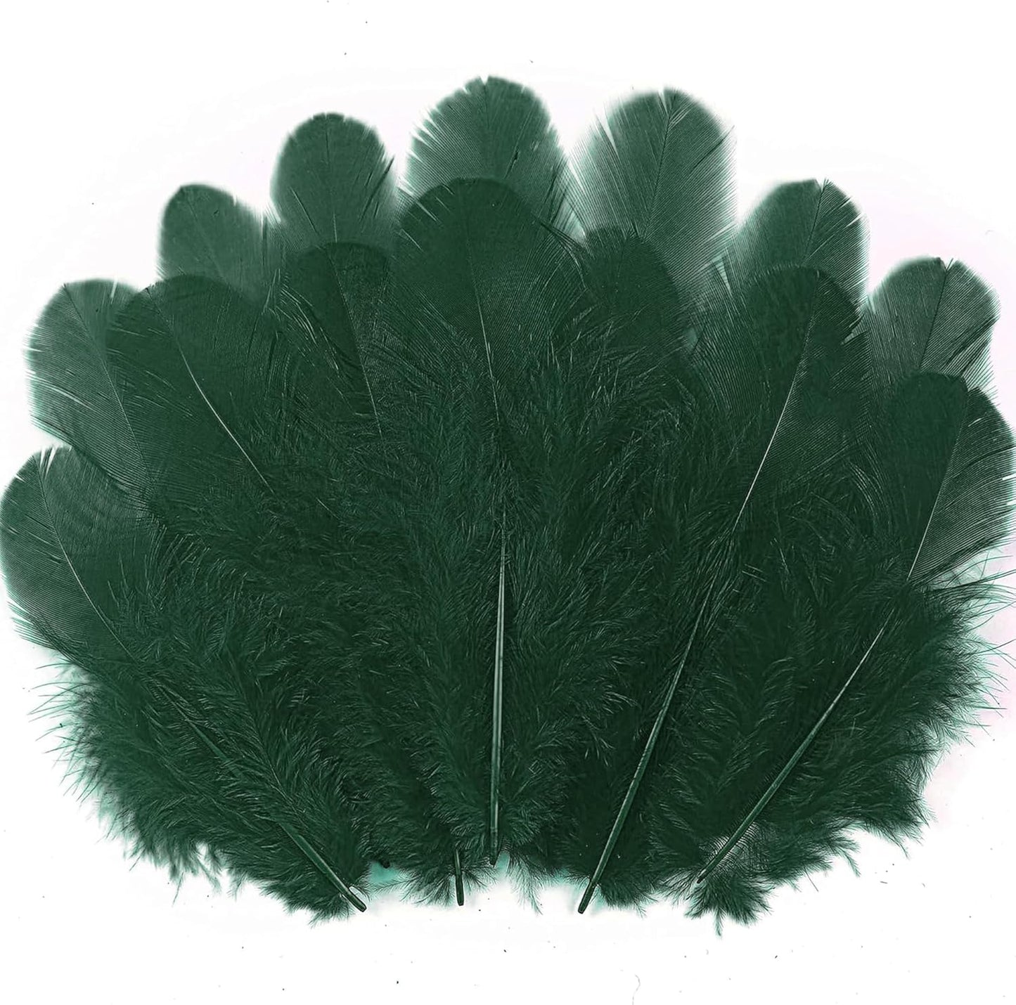 Yellow Craft Feathers Bulk for Crafting Supplies,300Pcs,3-5inch | Natural Rooster Feathers for DIY School Crafts,Dream Catcher,Halloween,Easter,Mardi Gras and Thanksgiving Home Party Decor